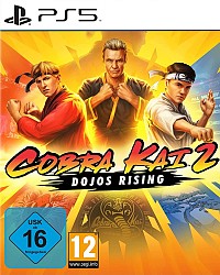 Cobra Kai 2: Dojos Rising Packshot