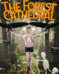 The Forest Cathedral Packshot